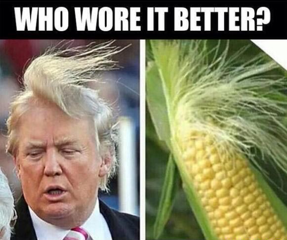 Donald Trump a kukuřice